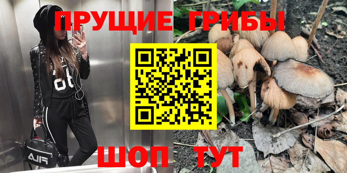 Галлюциногенные грибы Magic Shrooms Будённовск