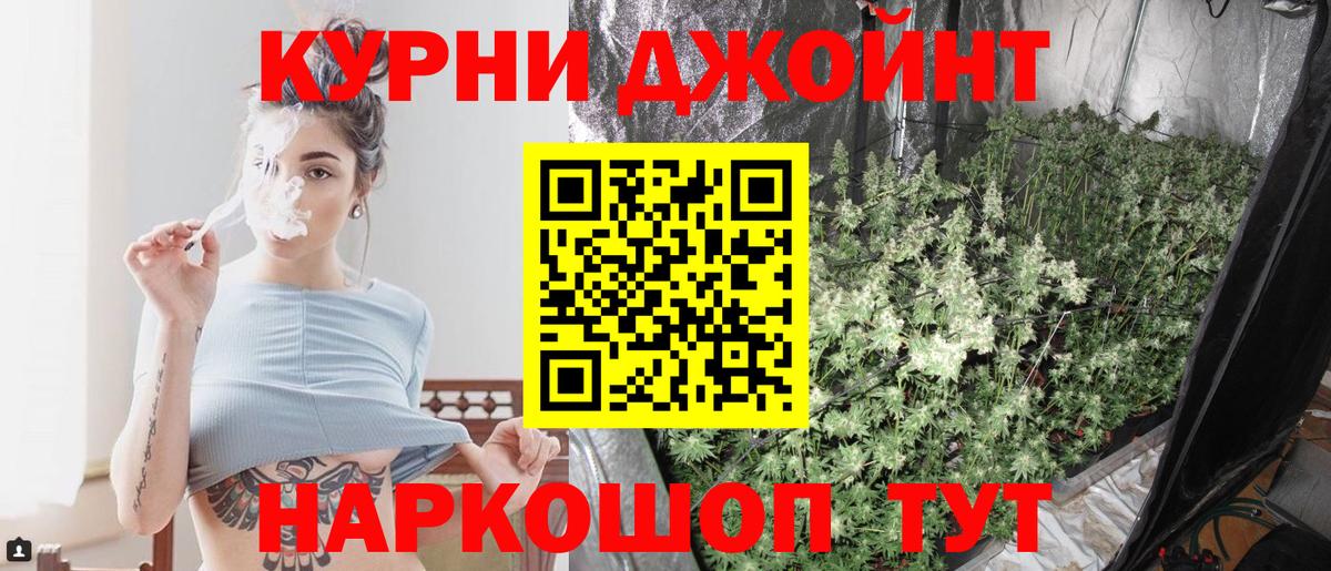 Бошки Шишки марихуана Будённовск